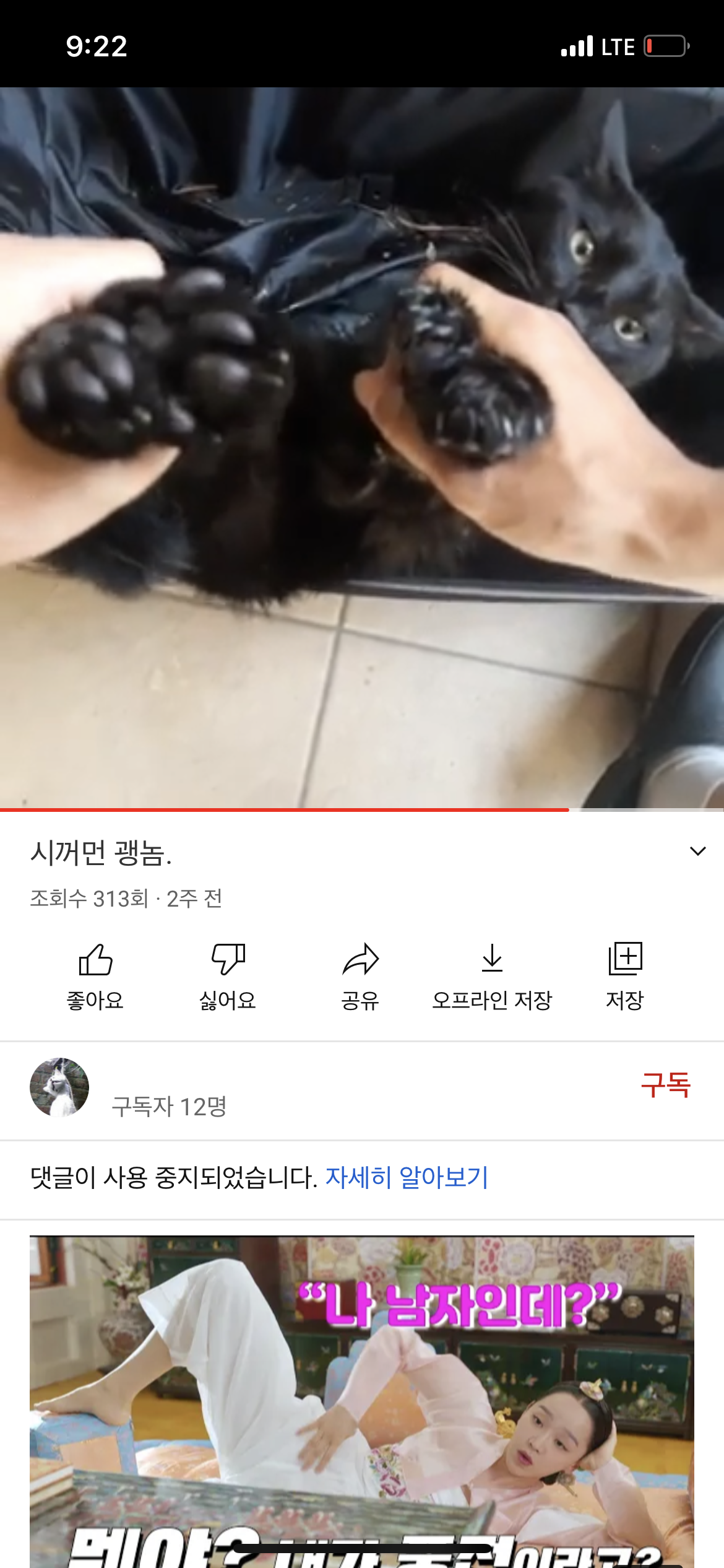 유튜브에 고양이 학대 및 살해하는 영상을 업로드하는 사람을 잡아주세요