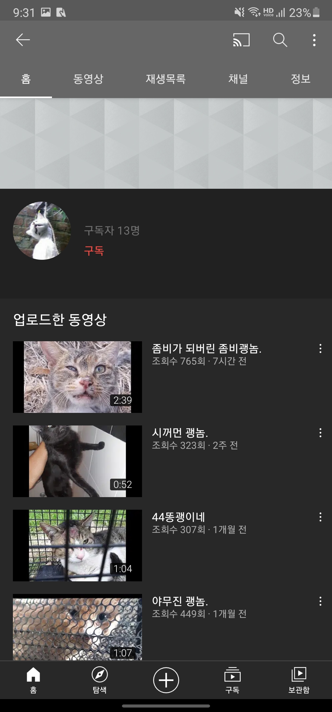 유튜브에 고양이 학대영상이 올라와있어요