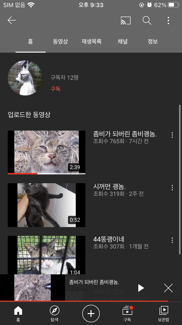 부디 더 이상 이 사람 손에 죽어나가는 고양이가 없길 바랍니다