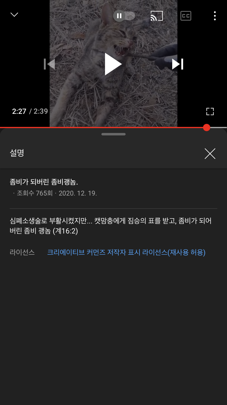 부디 더 이상 이 사람 손에 죽어나가는 고양이가 없길 바랍니다