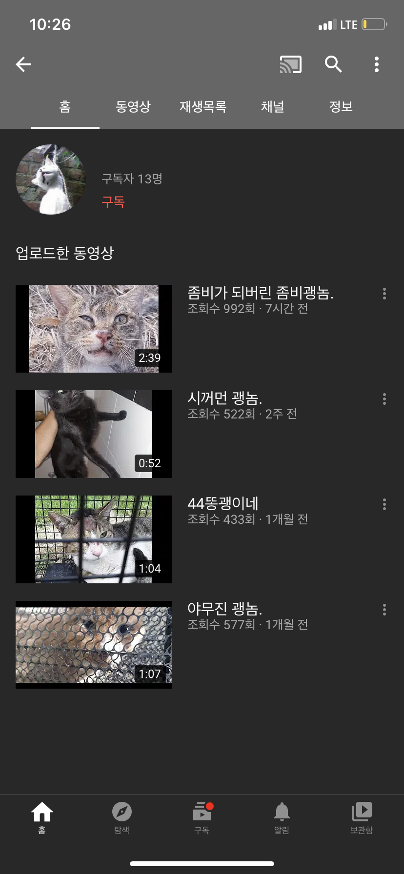 동물 학대 유튜버