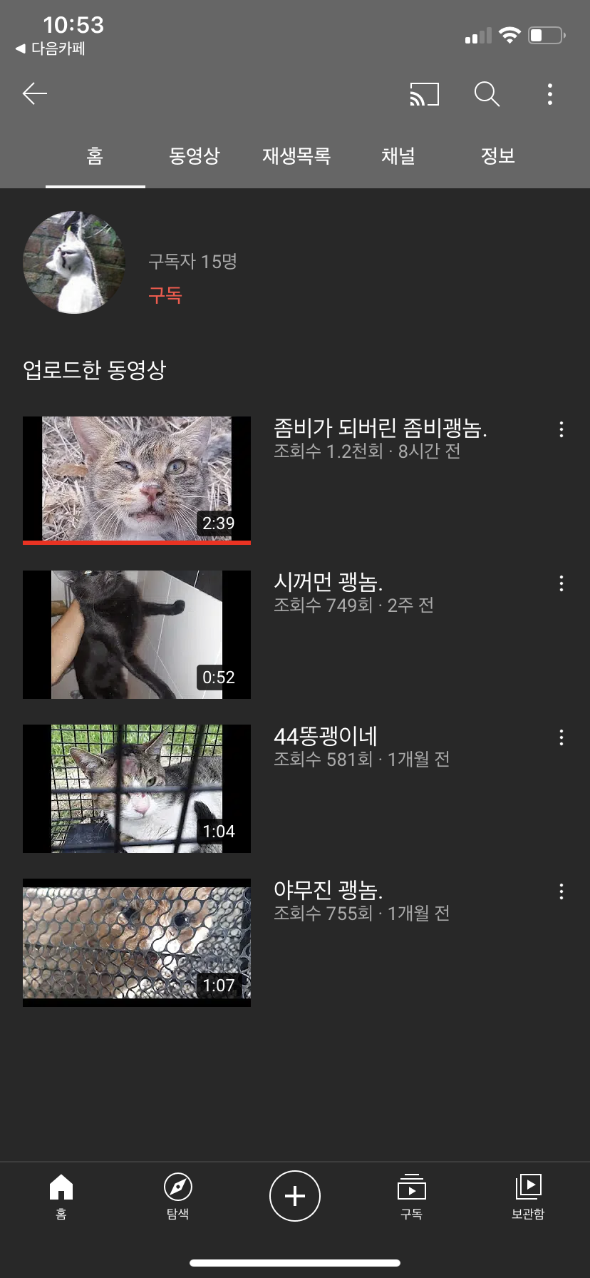 고양이를 학대하고 올리는 유튜버