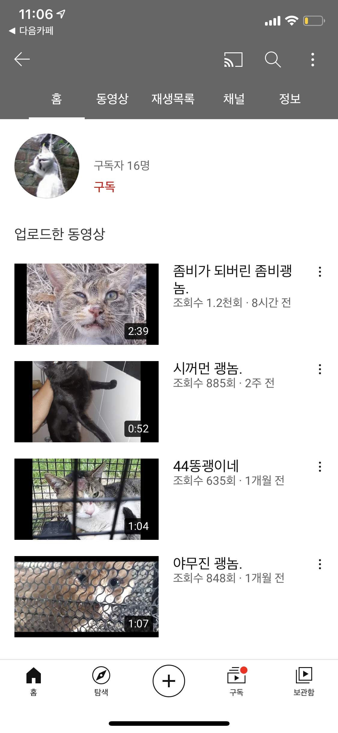 유튜브에 고양이 학대 영상을 올리는 사람이 있습니다