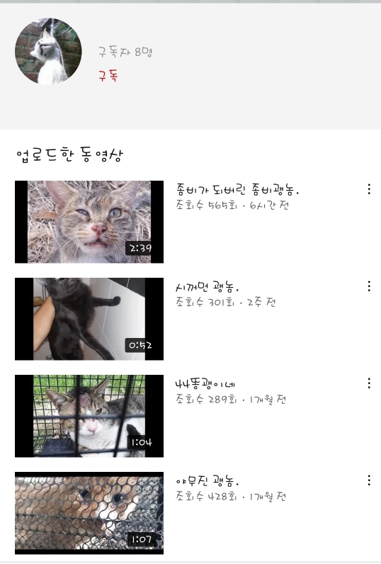 유튜브 동물학대 영상 신고합니다.