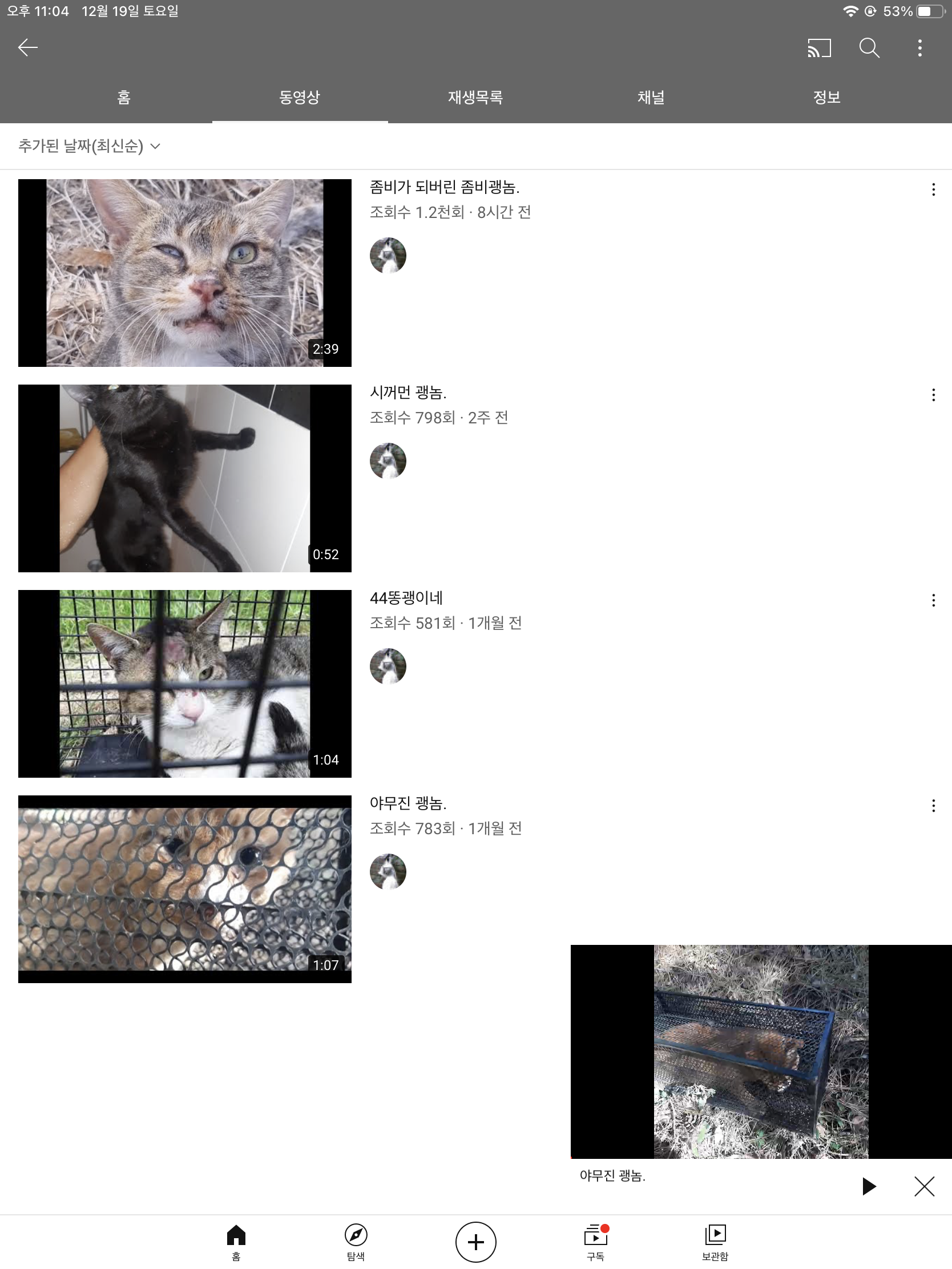 유튜브에 고양이 학대하는 영상을 지속적으로 올리는 사람 신고합니다.
