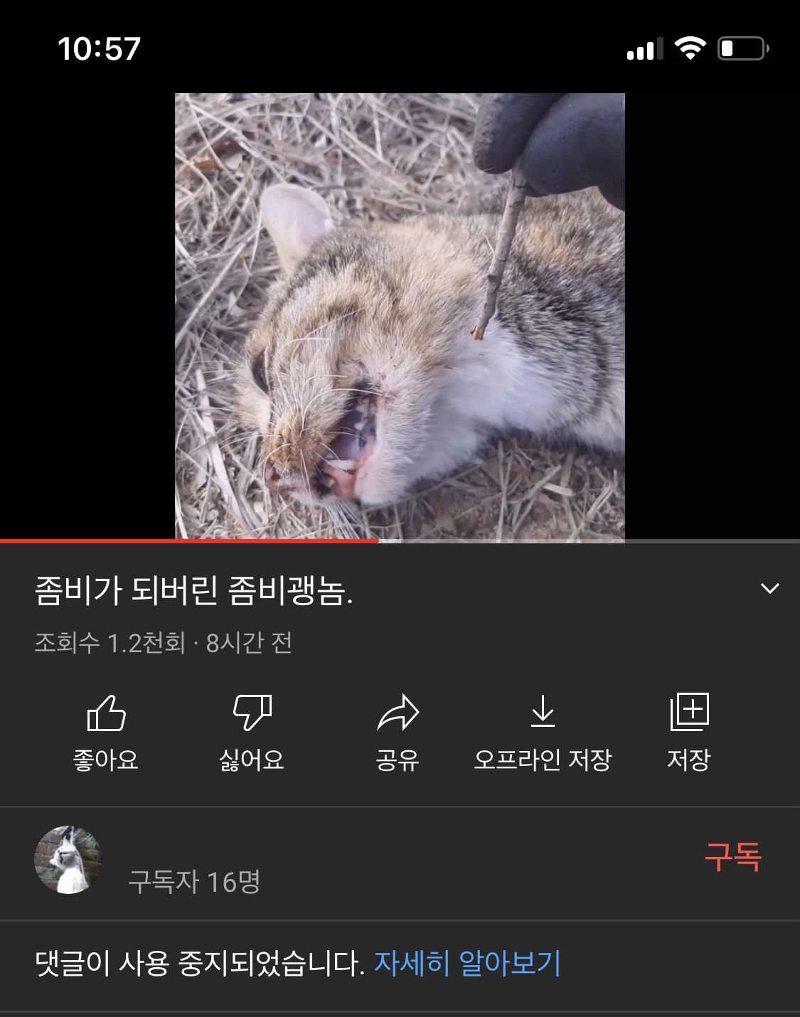 고양이 학대하는 유튜브 동영상 제보합니다