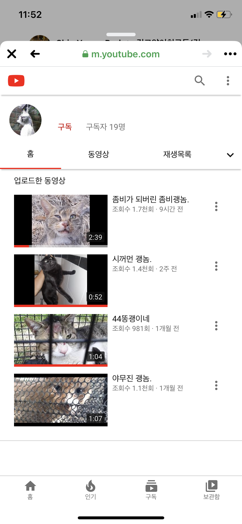 고양이를 자기 놀이감으로 생각하며 학대하는 유튜버를 처벌해주세요..