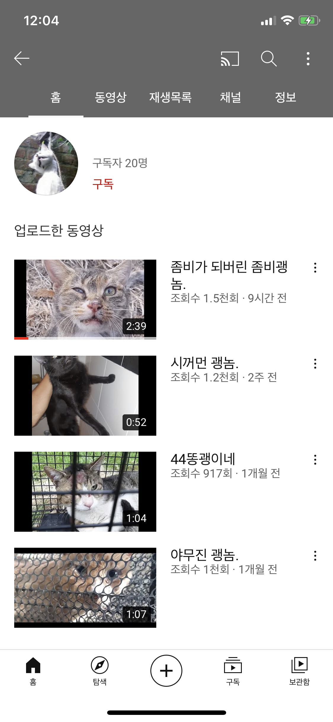 유튜브에 버젓이 고양이학대영상을 올리고 있는 사람을 제보합니다.