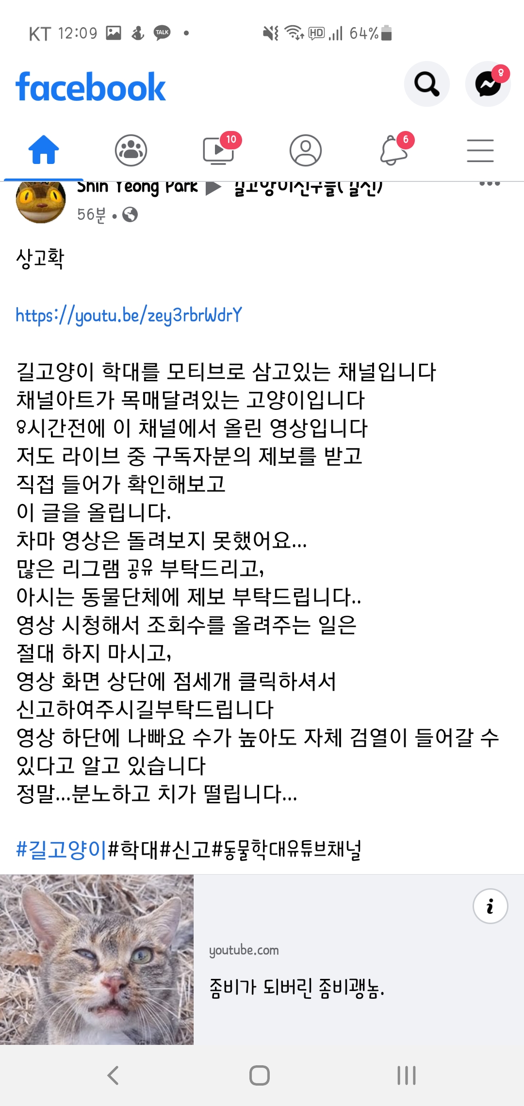 길고양이 학대 유투버입니다 