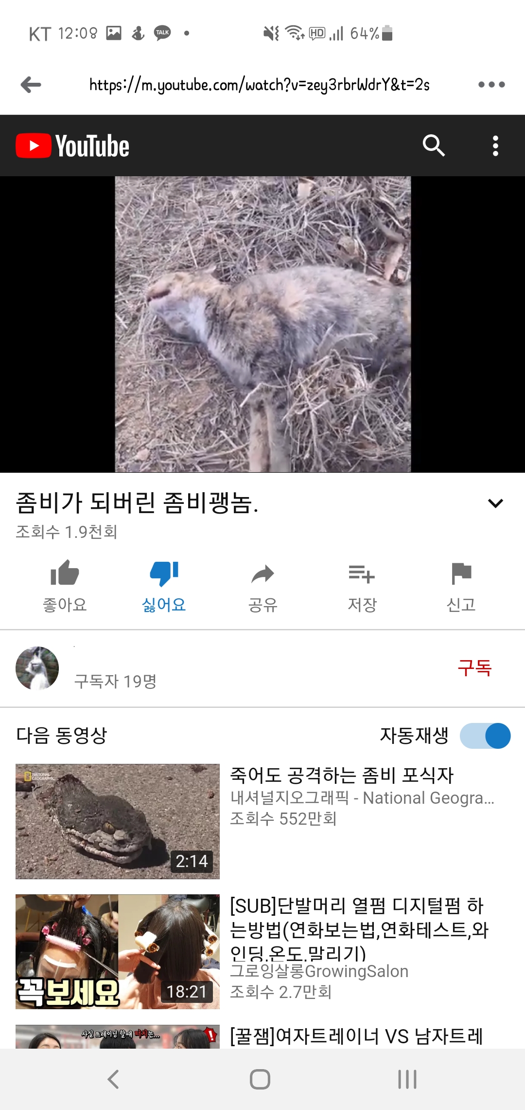 길고양이 학대 유투버입니다 