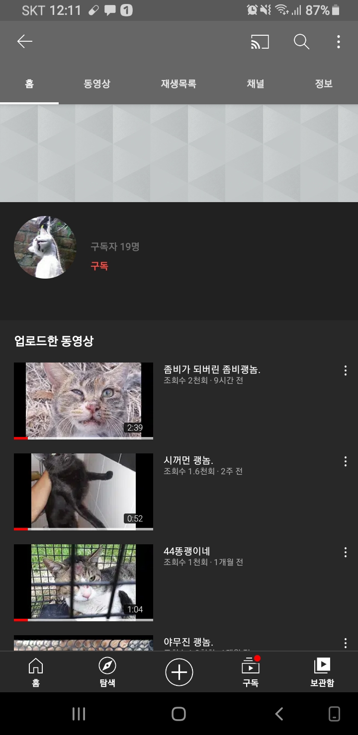 고양이 학대 극악무도한 잠재적살인마 잡아주세요