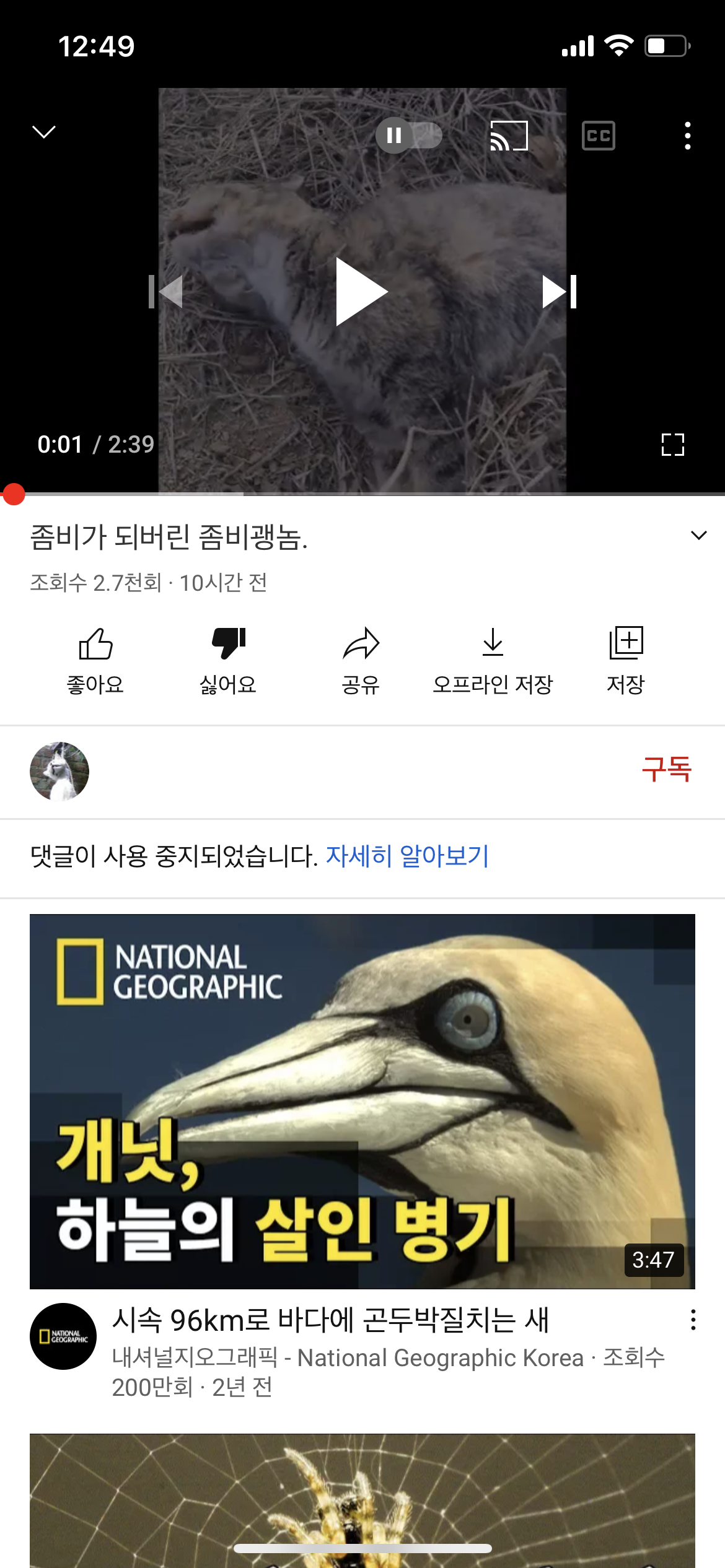 학대 영상 제보
