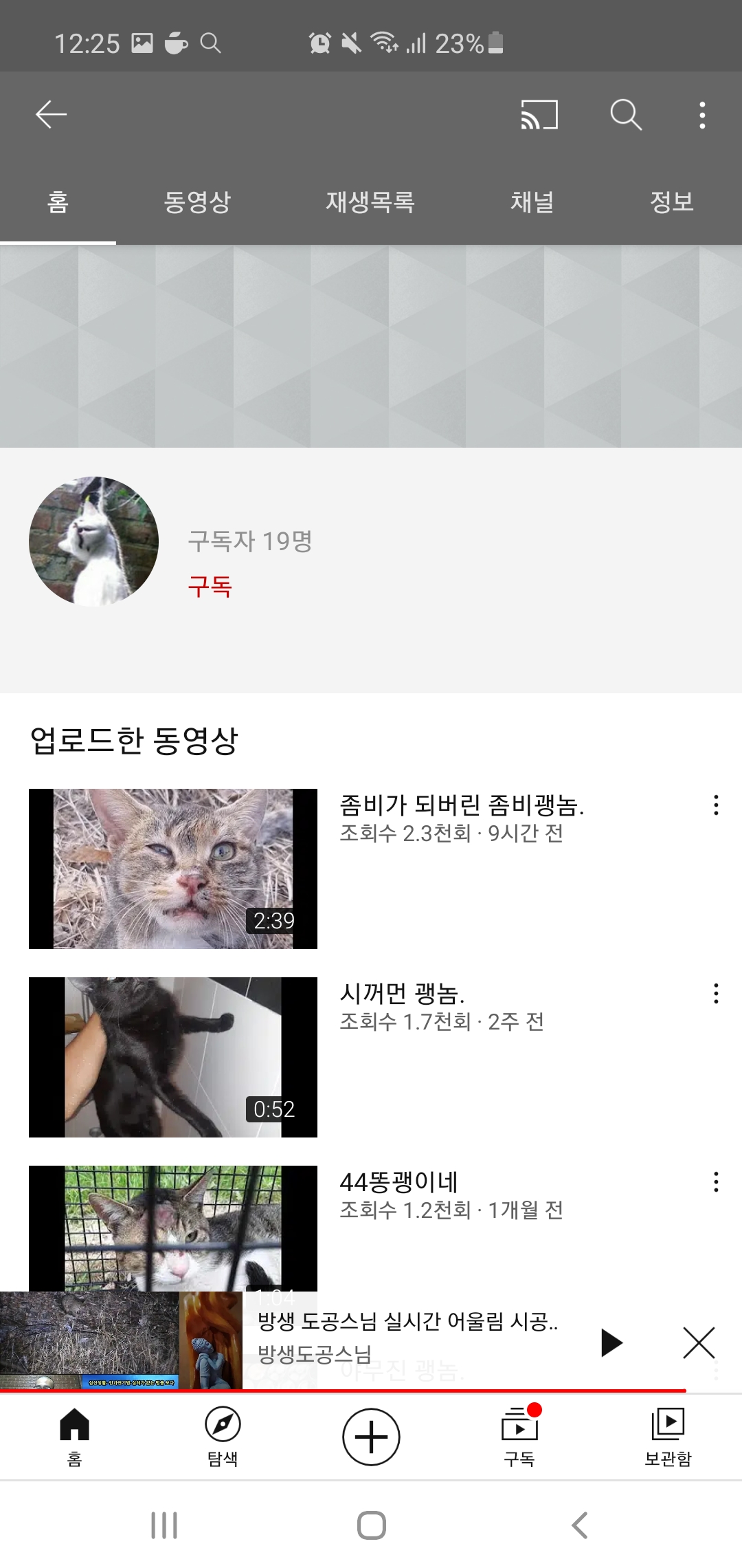 길냥이를 잔인하게 죽이는 유튜버 꼭 잡아주세요