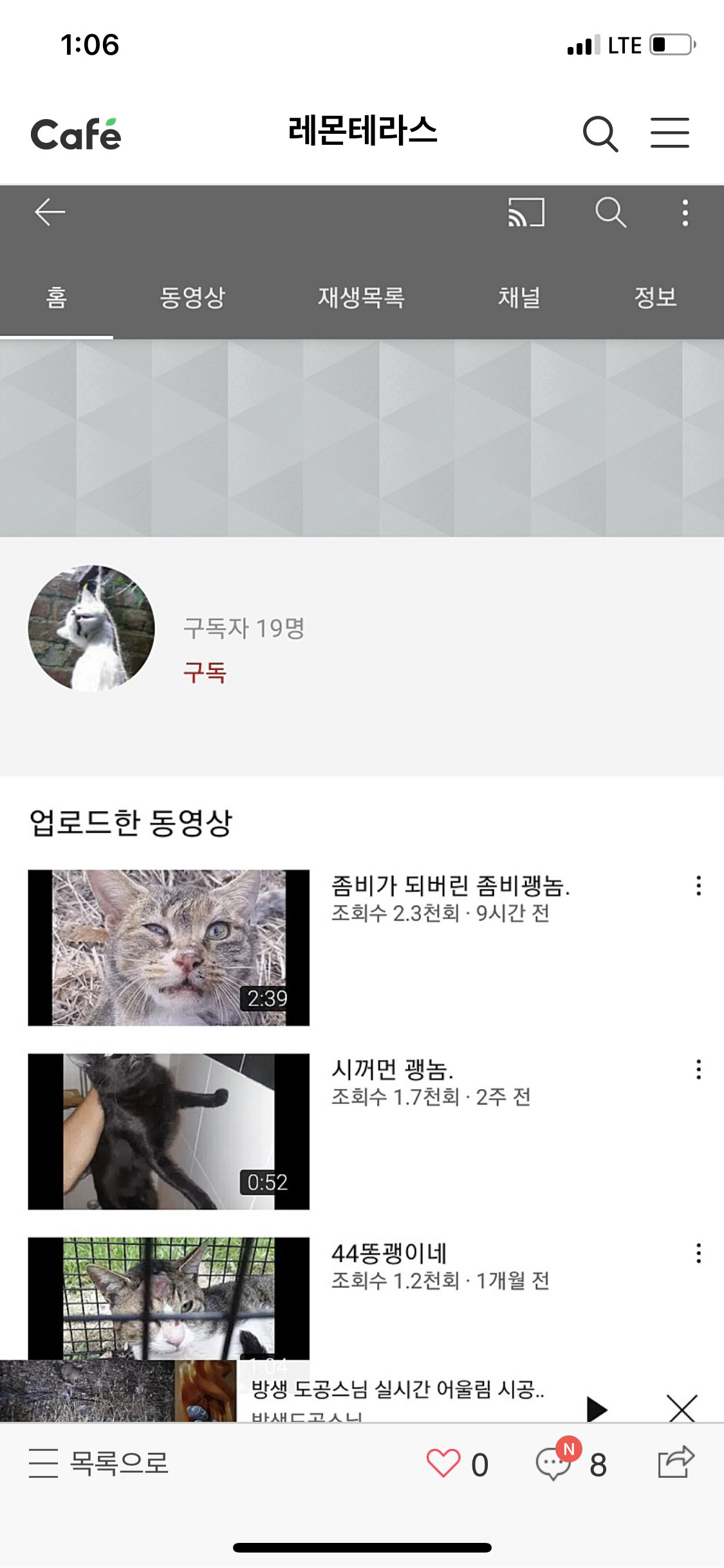 길고양이 학대영상 배포 하는 유튜버 