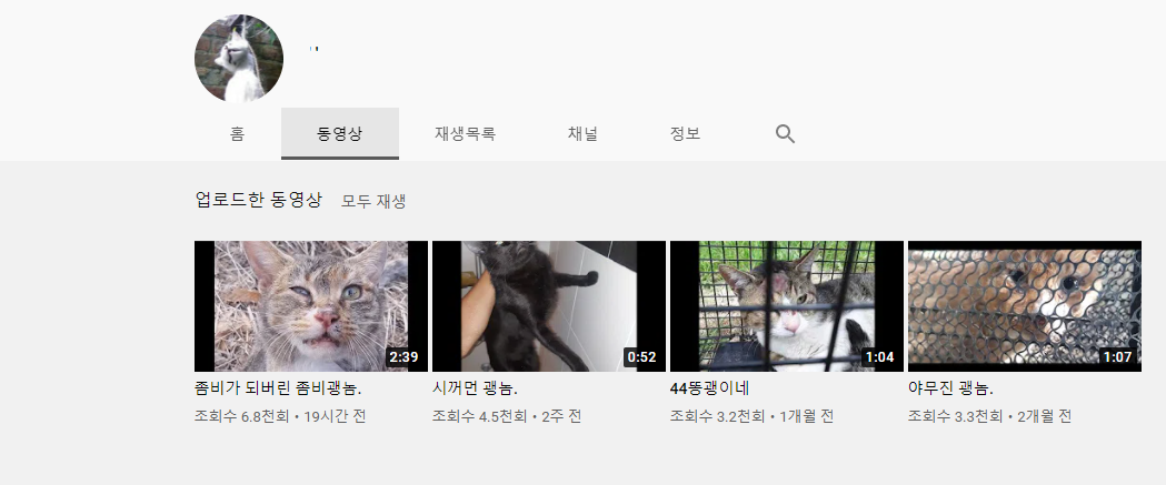 고양이 학대 유튜버 신고합니다