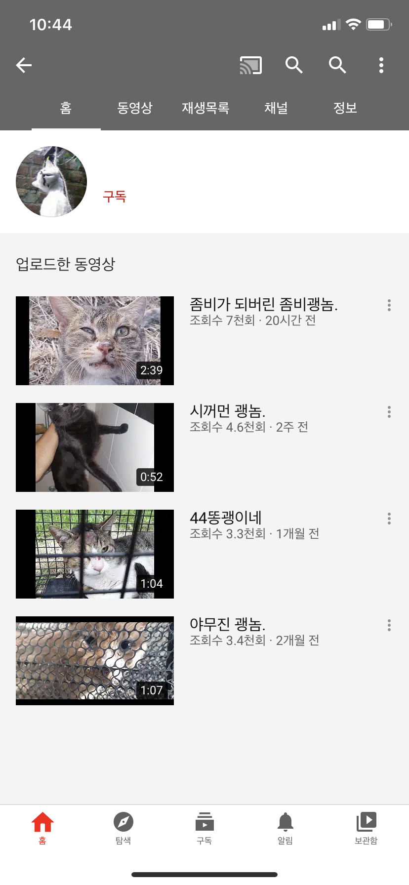 동물학대 신고합니다.