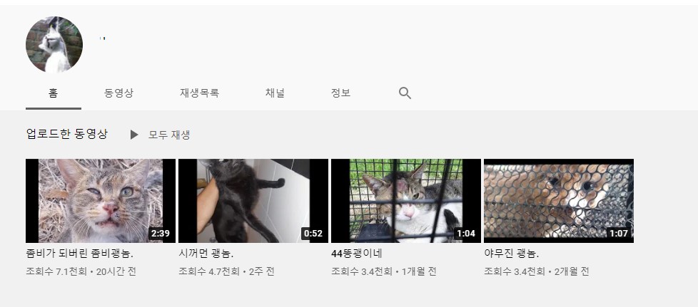 유투브를 이용한 동물학대 영상을 게시 하였습니다