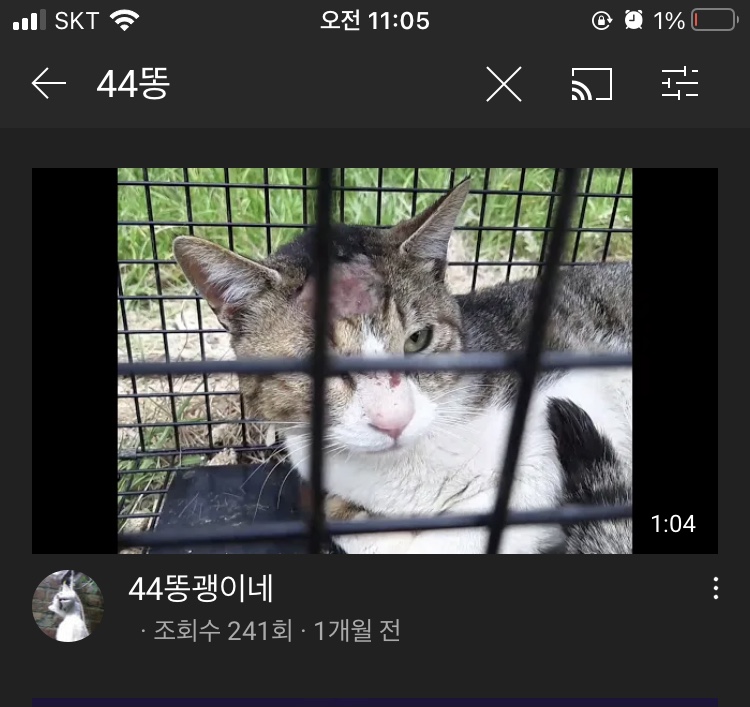 44 똥괭이네
