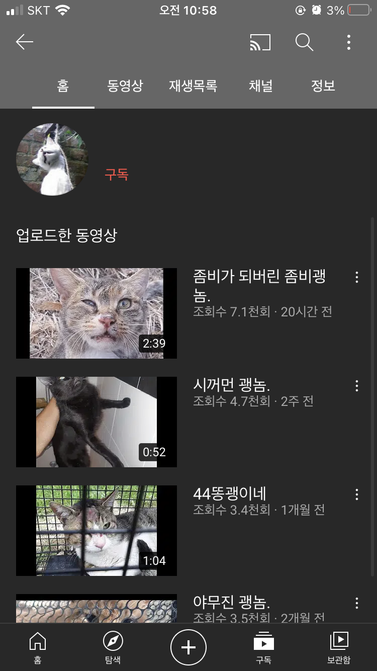 44 똥괭이네