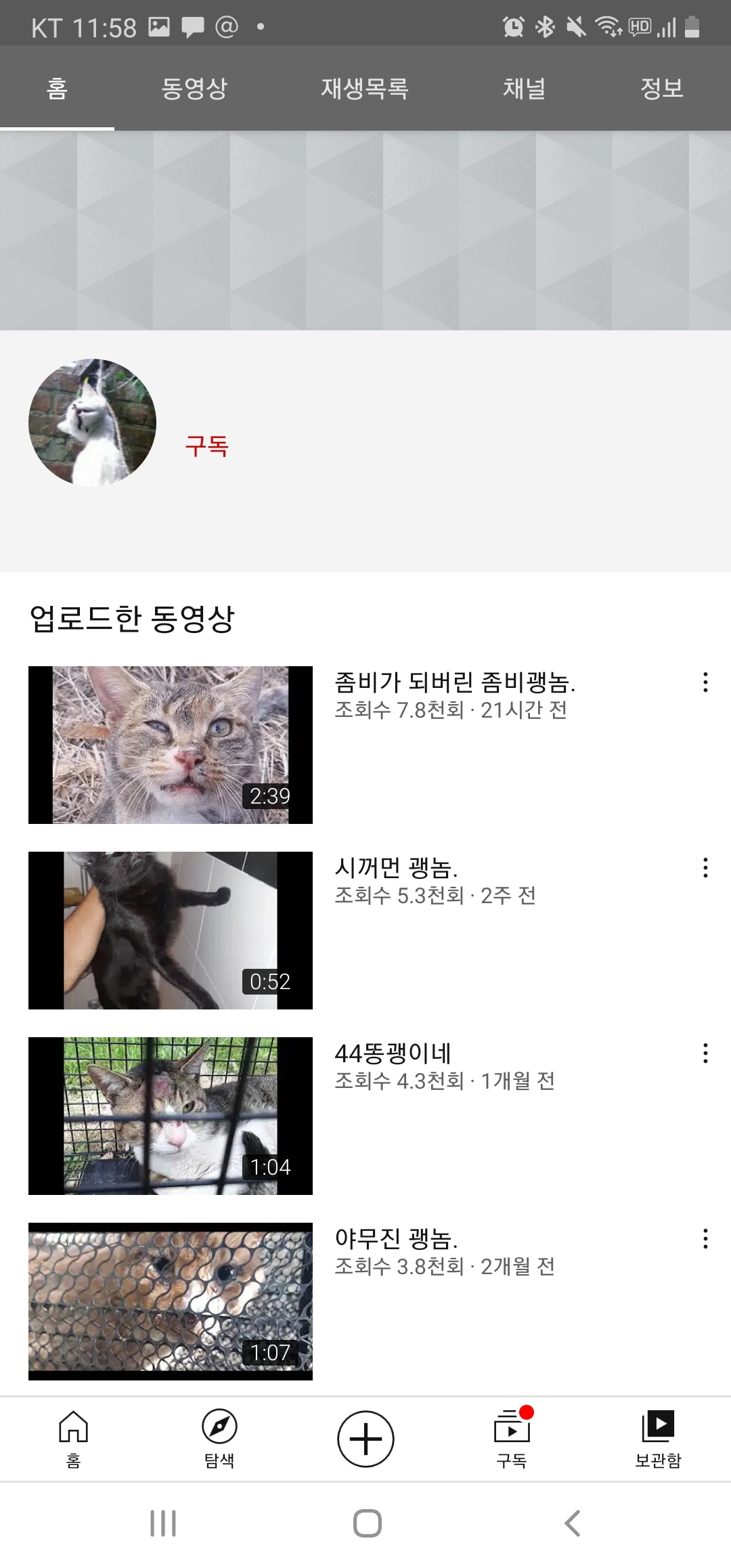 동물을 학대하는 영상을 직접 찍어 올리는 유투버