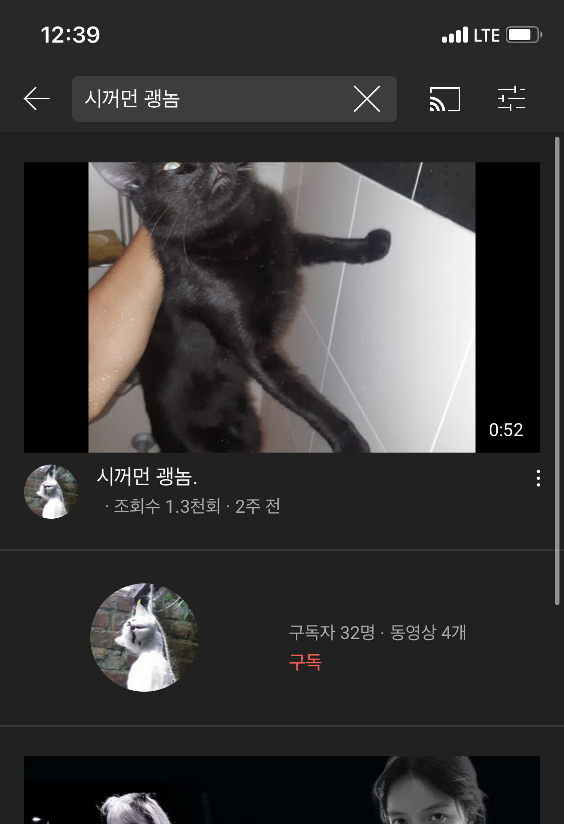 유튜브에 고양이 학대 영상 올리고 있어요.