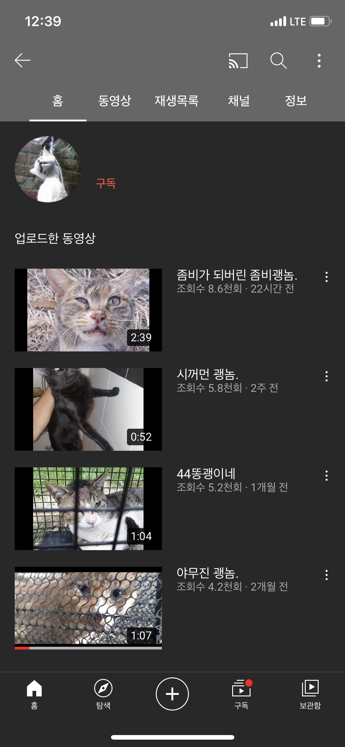 유튜브에 고양이 학대 영상 올리고 있어요.