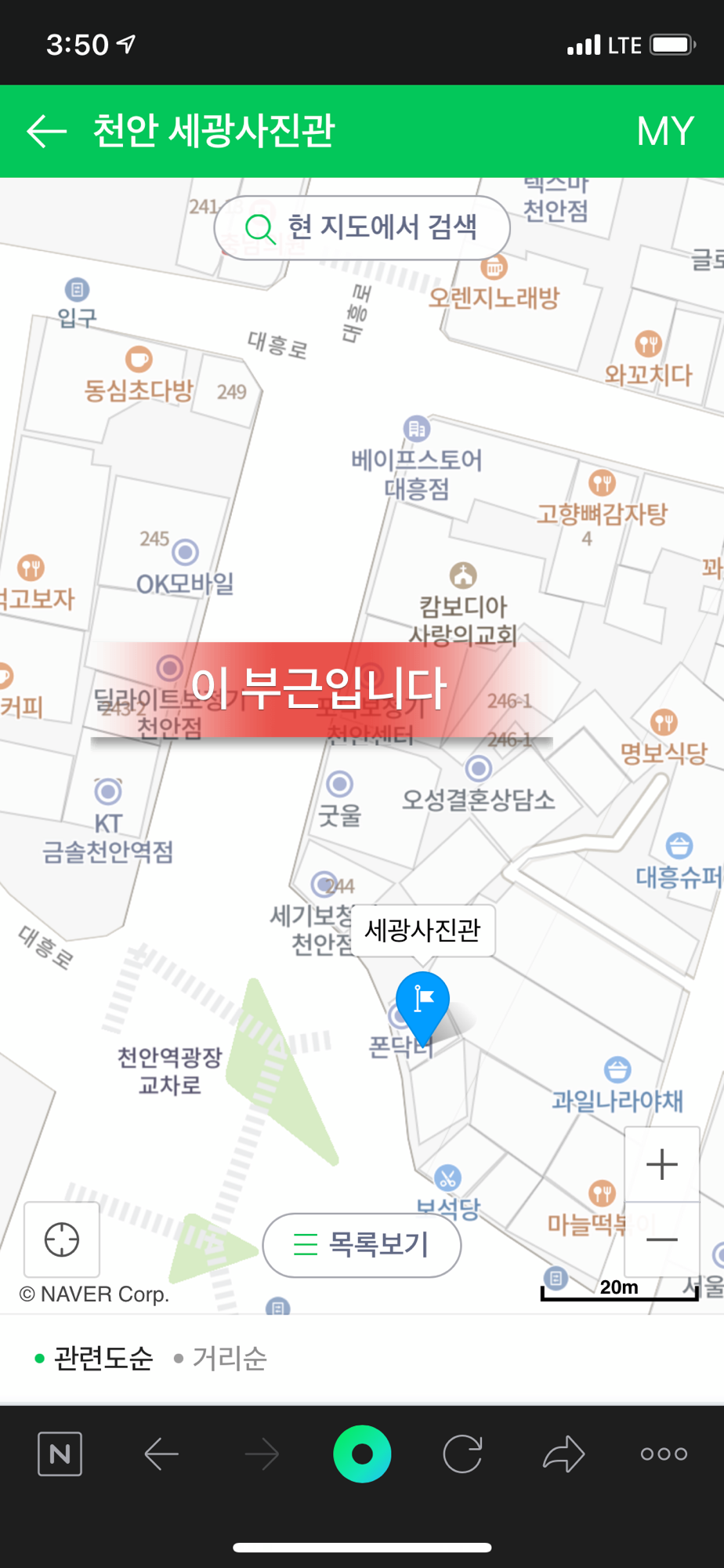 강아지들 학대 의심으로 제보합니다