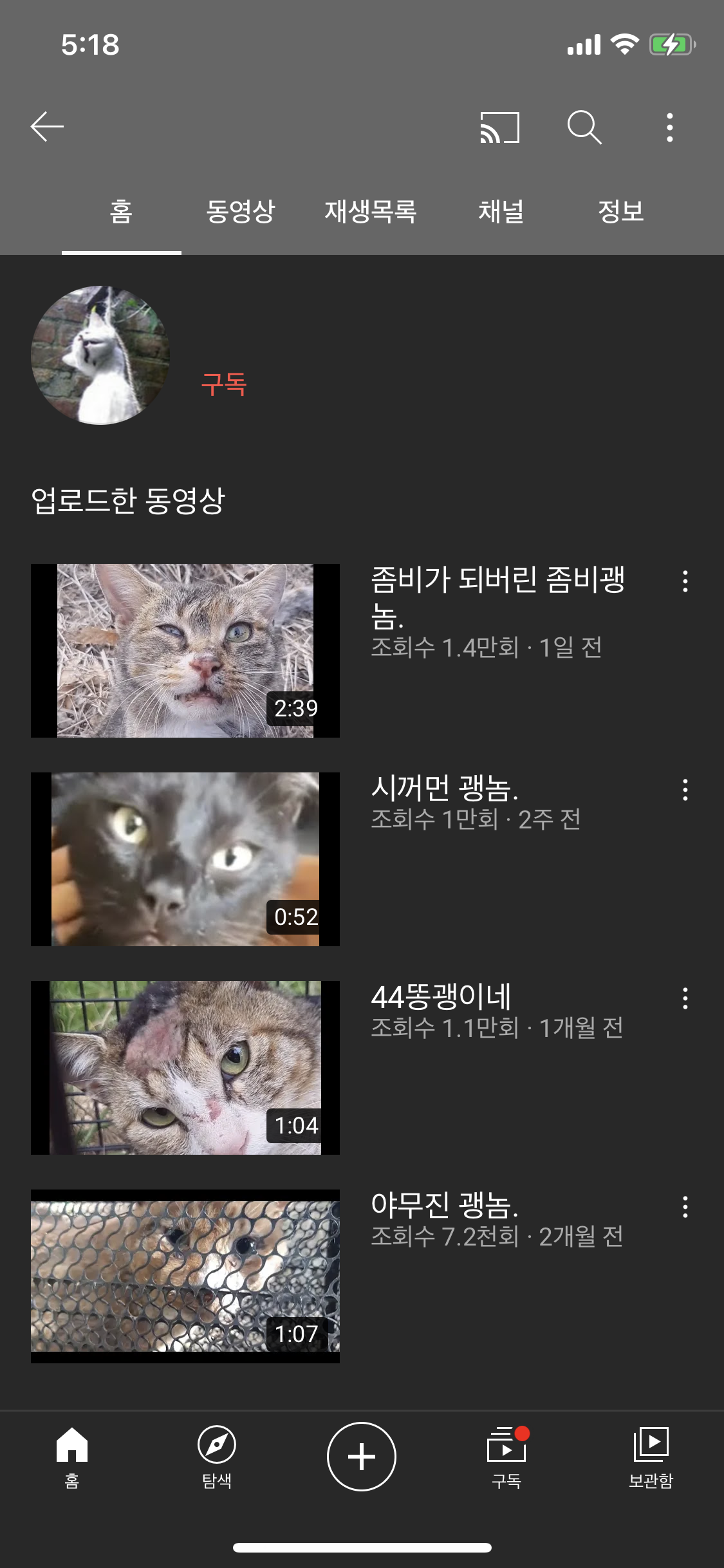 유튜브 <~괭놈> 이라는 제목으로 고양이 학대영상을 지속적으로 올리는 유튜버