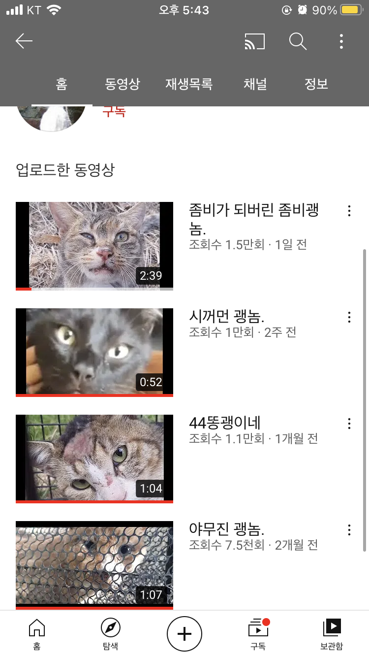 유튜브에서 길고양이를 잡아 학대하는 영상을 올리는 사람이 있습니다