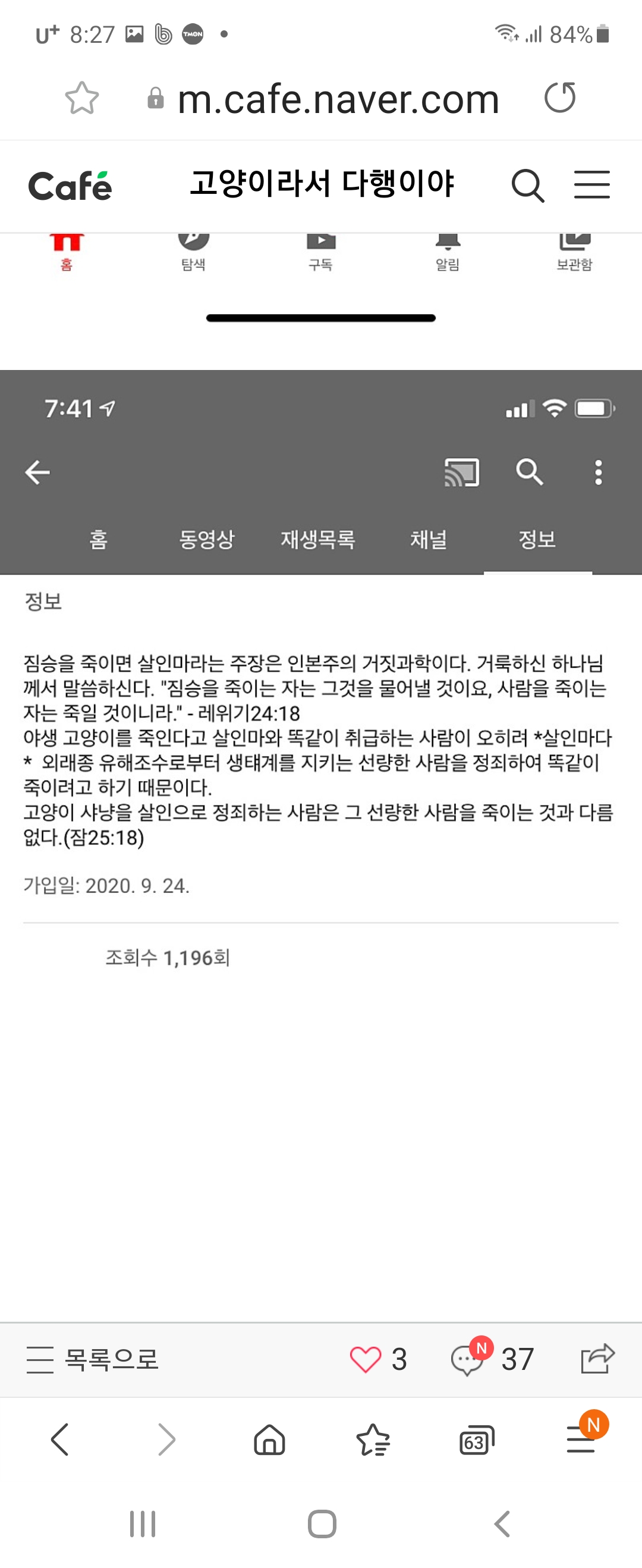 유트브에 올라온 고양이 학대동영상 학대범 꼭 잡아주세요