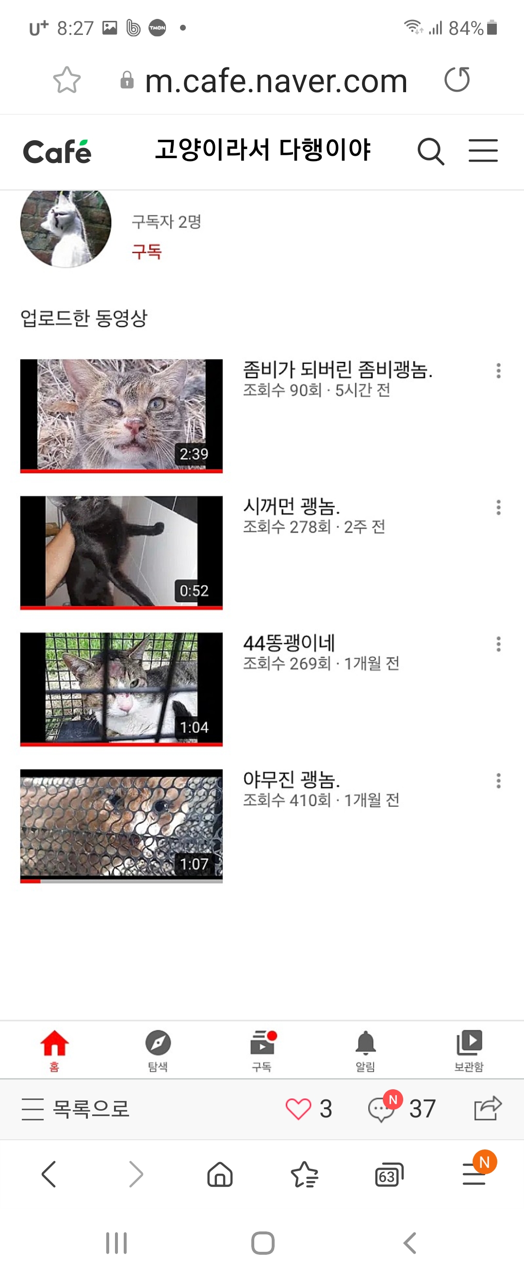 유트브에 올라온 고양이 학대동영상 학대범 꼭 잡아주세요