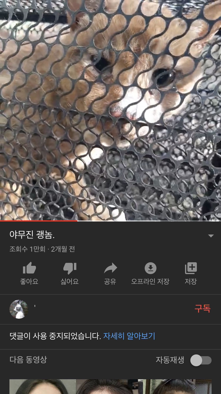 길고양이 포획 후 학대 영상 올림. 잡아주세요