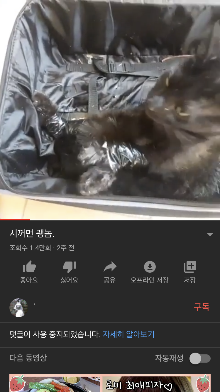 길고양이 포획 후 학대 영상 올림. 잡아주세요