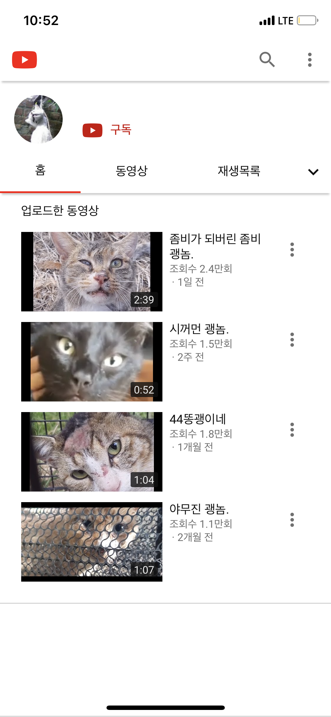 죽어가는 길고양이 고문 영상 올리는 유튜브 학대범을 신고합니다