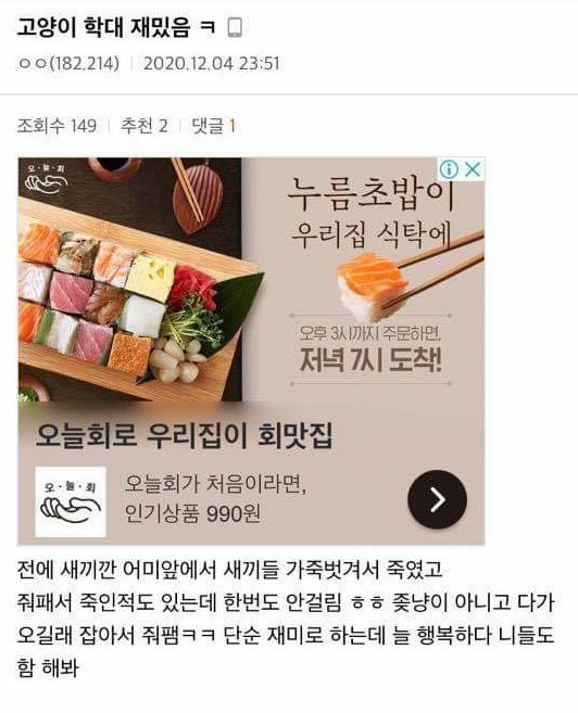 디시인사이드 바이크갤 고양이 학대 예고