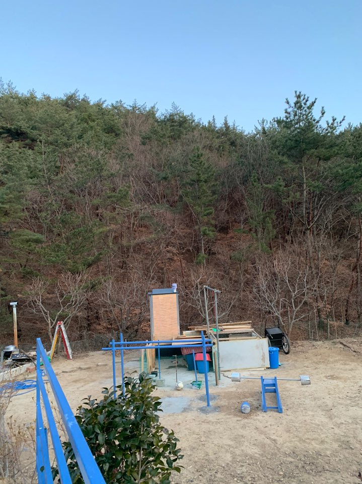 제발 구조해주세요. 예전에 강아지 공장을 운영했던 사람이 강아지 3마리를 방치하며 키우고 있습니다.