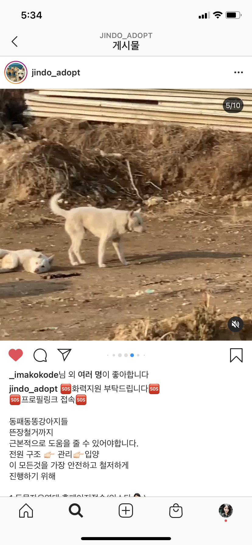 파주시 동패동 공사장에 방치된 새끼강아지들과 부모견들이 죽을 위기에 있어요.