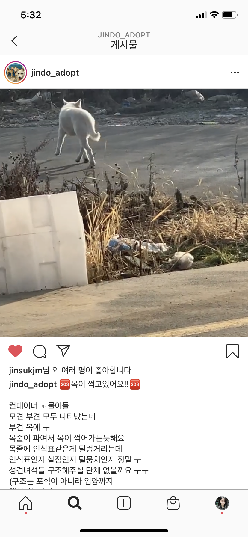 파주시 동패동 공사장에 방치된 새끼강아지들과 부모견들이 죽을 위기에 있어요.