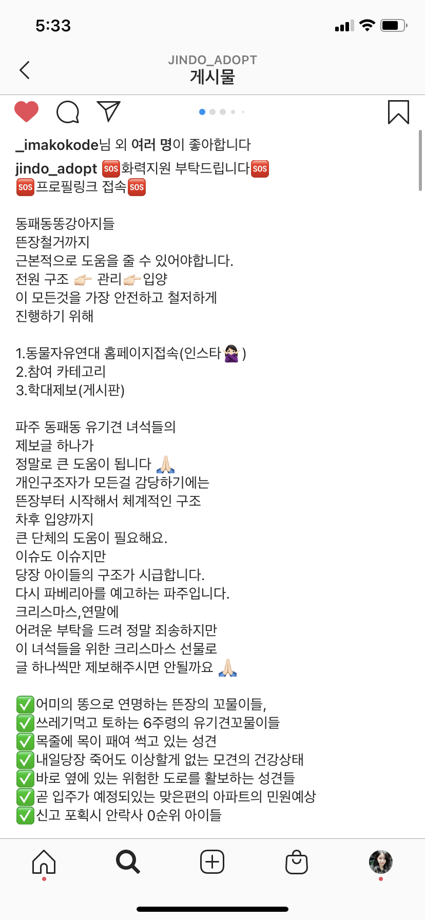 파주시 동패동 공사장에 방치된 새끼강아지들과 부모견들이 죽을 위기에 있어요.
