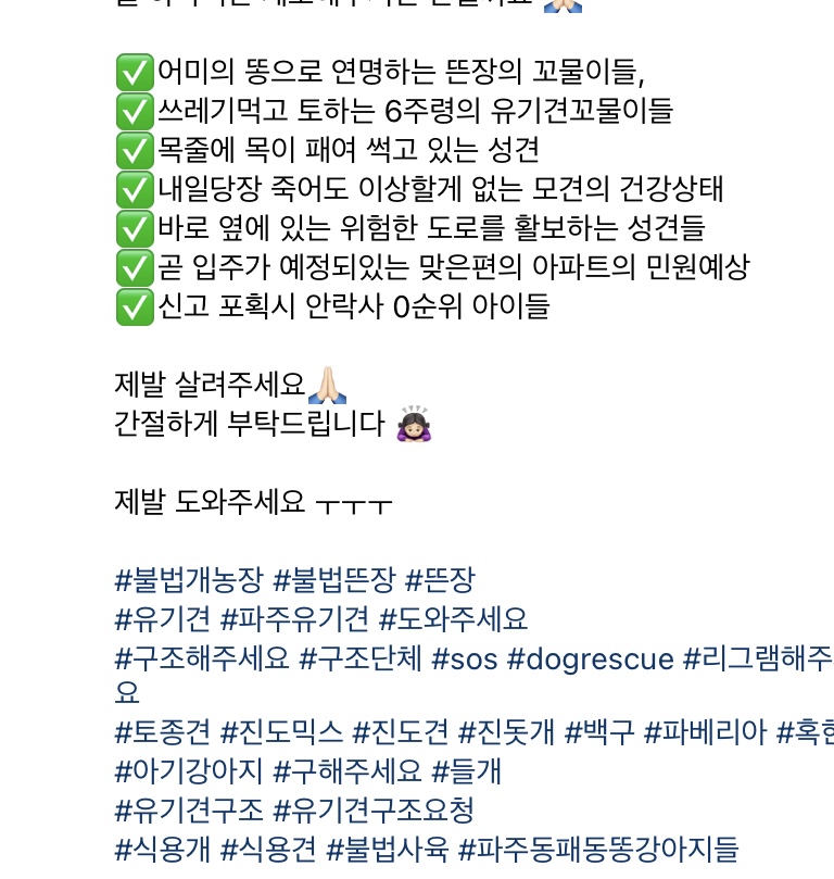 파주 동패동 아이들을 도와주세요ㅜㅜ