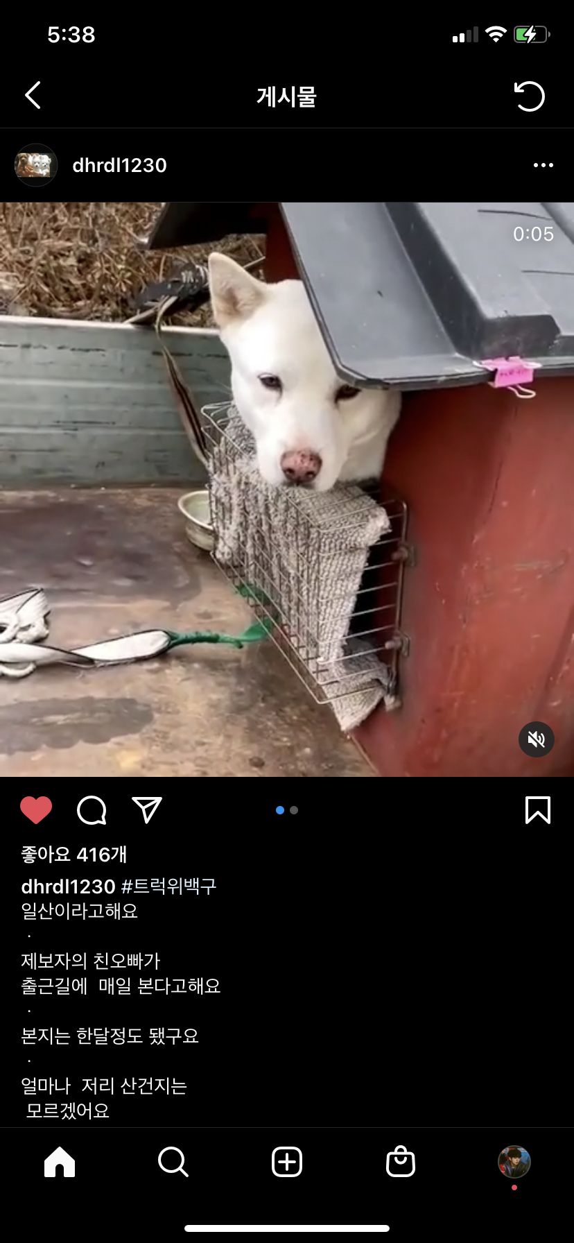 트럭위에다가 강아지를 꼼짝도 못하도록 해놓았습니다.