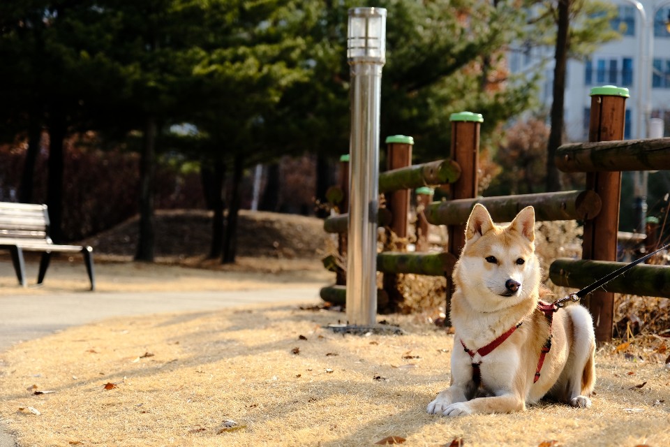 겨울밤비~