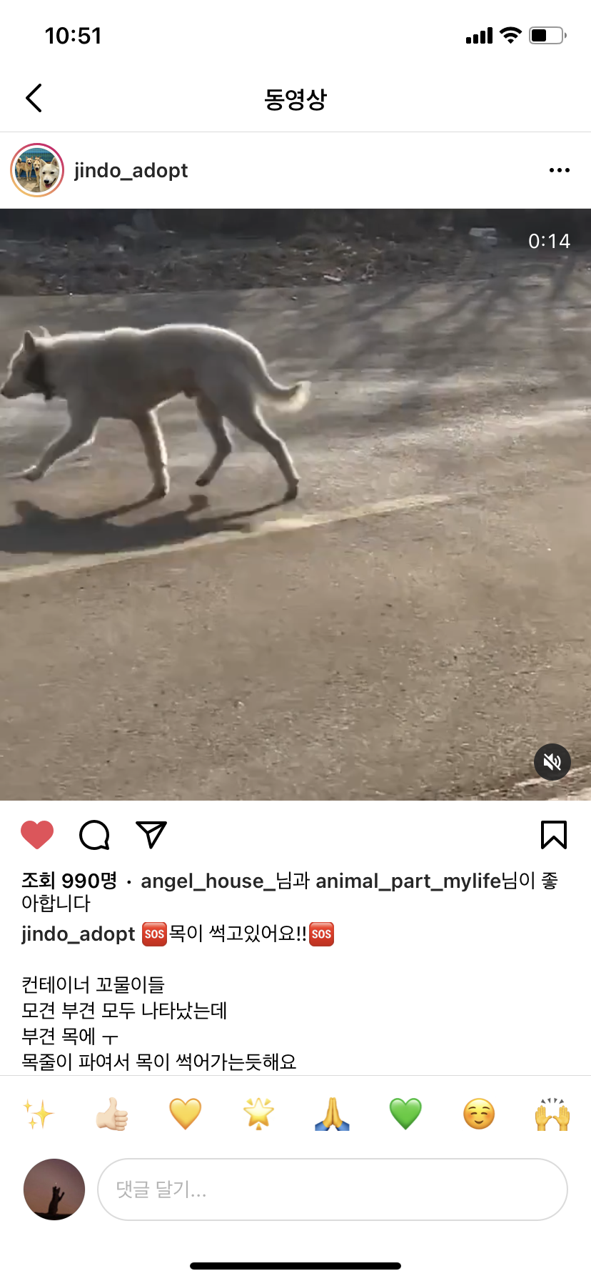파주 컨테이너 근처 강아지& 목줄에 목이 패여 썩고 있는 성견 구조해주세요