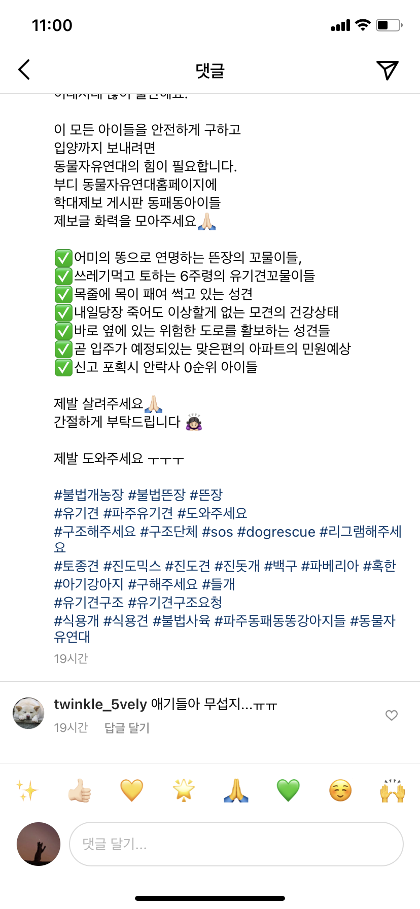 파주 컨테이너 근처 강아지& 목줄에 목이 패여 썩고 있는 성견 구조해주세요