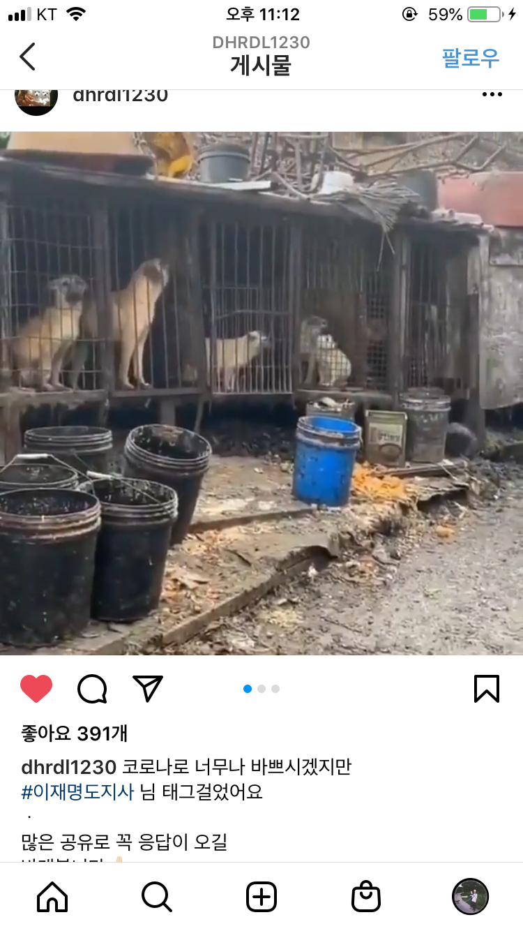 남양주 일패동 개농장 구조요청