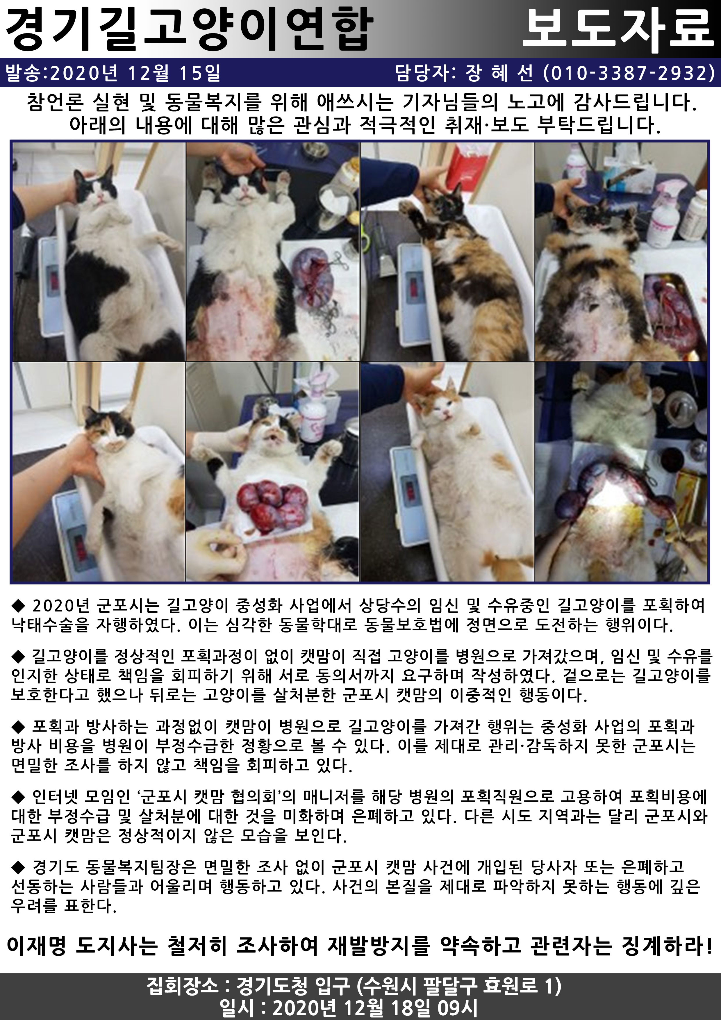 수유묘  만삭묘 강제 낙태를 중성화 수술 이라는 명목으로.