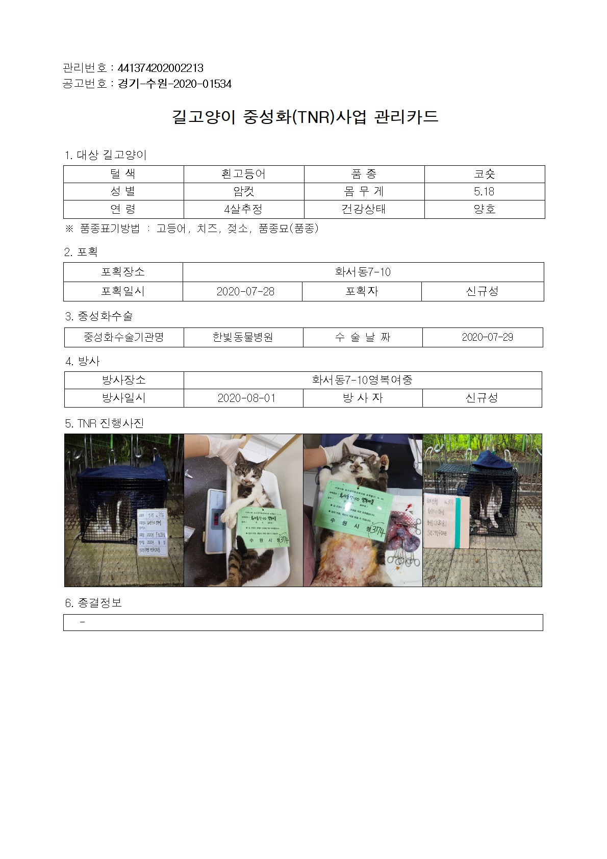 수유묘  만삭묘 강제 낙태를 중성화 수술 이라는 명목으로.