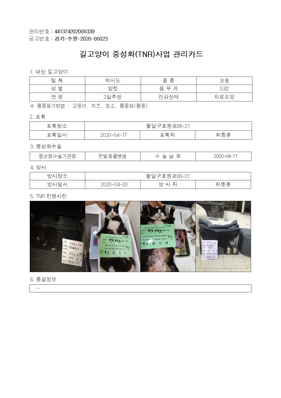 수유묘  만삭묘 강제 낙태를 중성화 수술 이라는 명목으로.