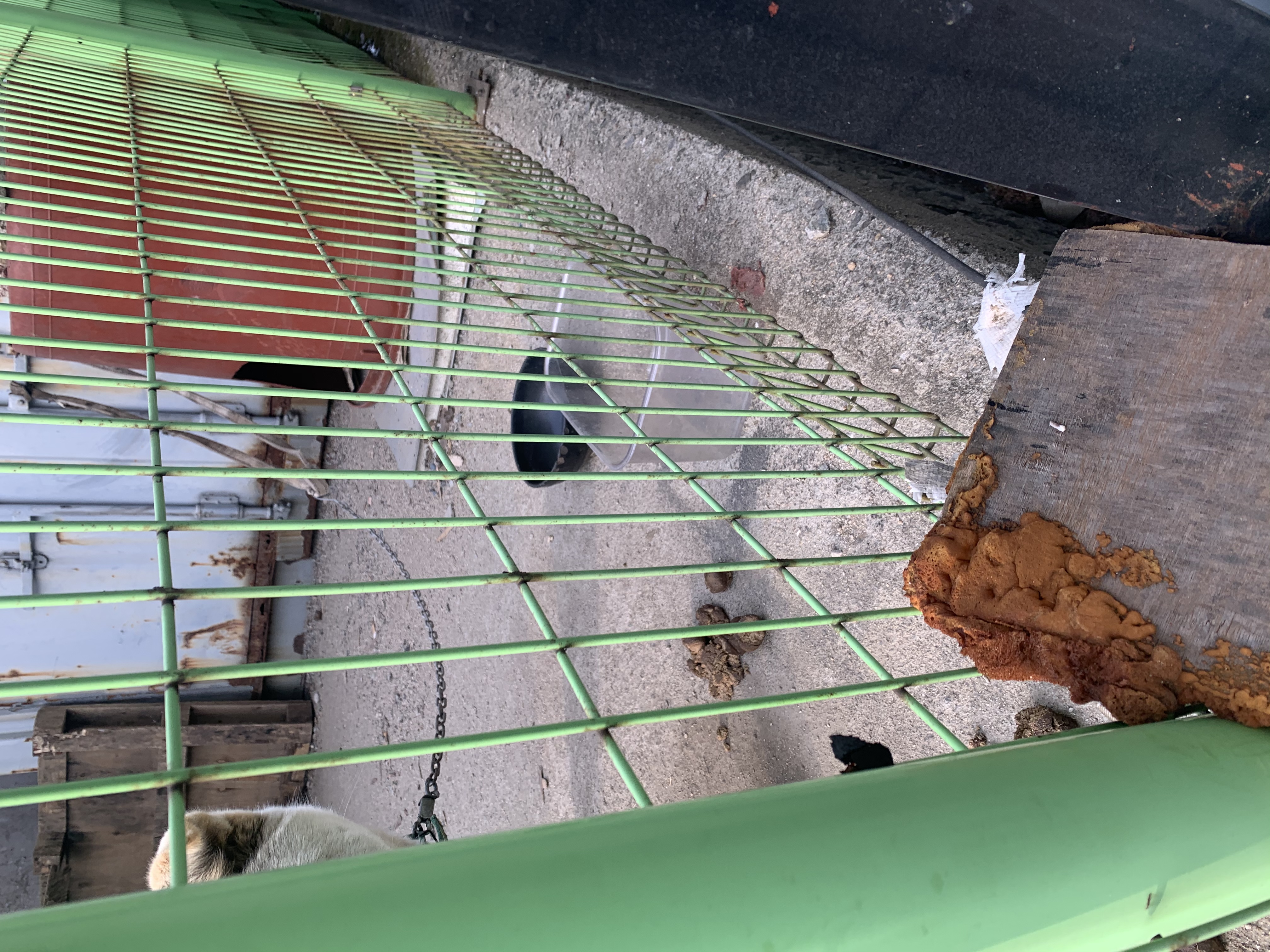 볼때마다 물통과 밥통이 비어있네요