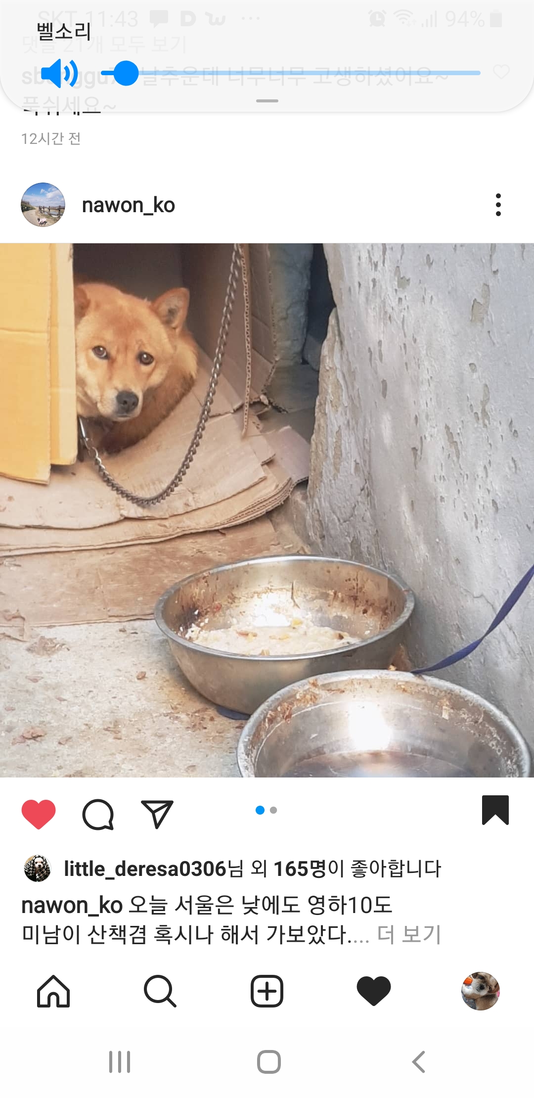 밥도 잘안준다는 방치견